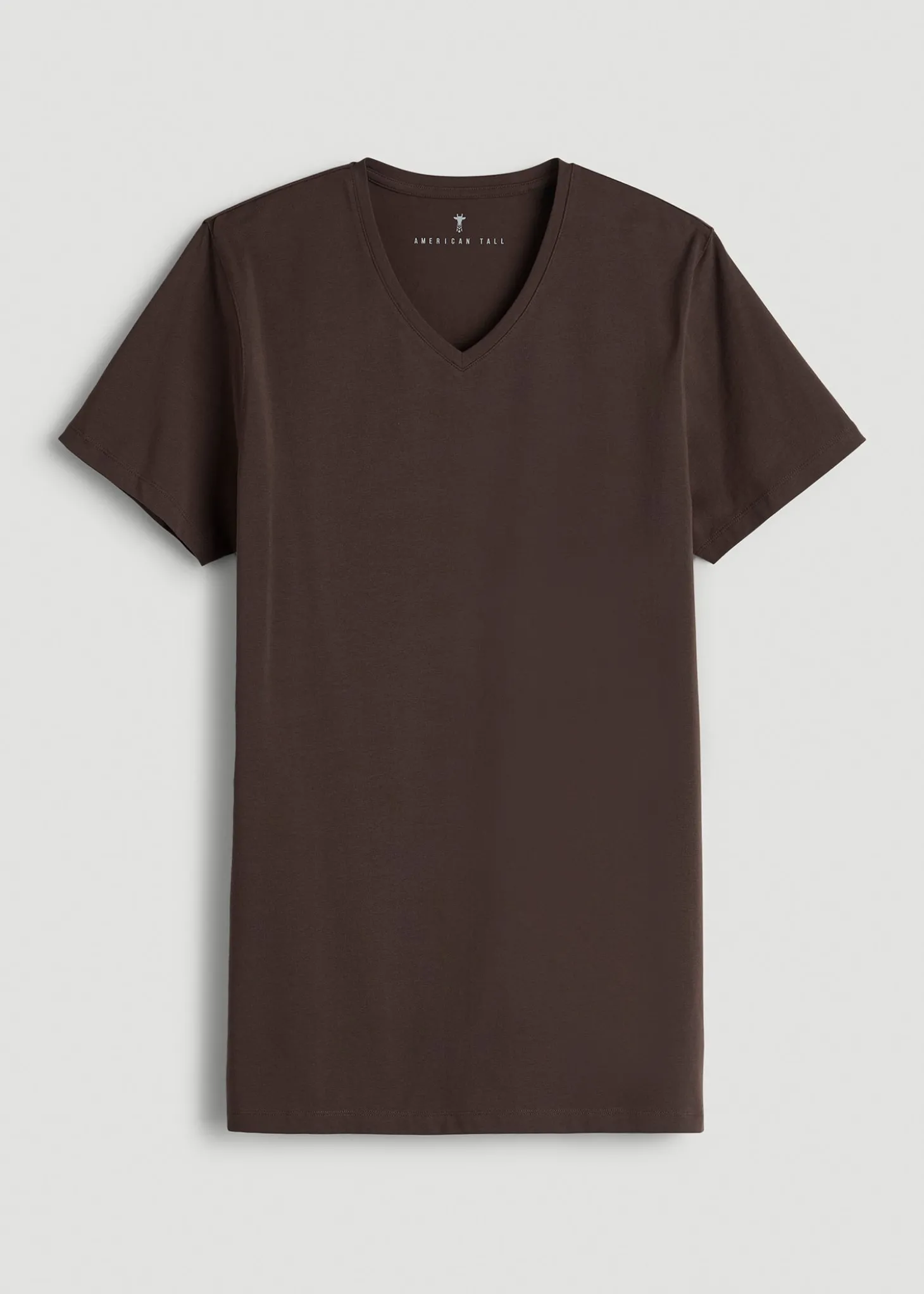 The Essential Modern Fit V-Neck Tee for Tall Men