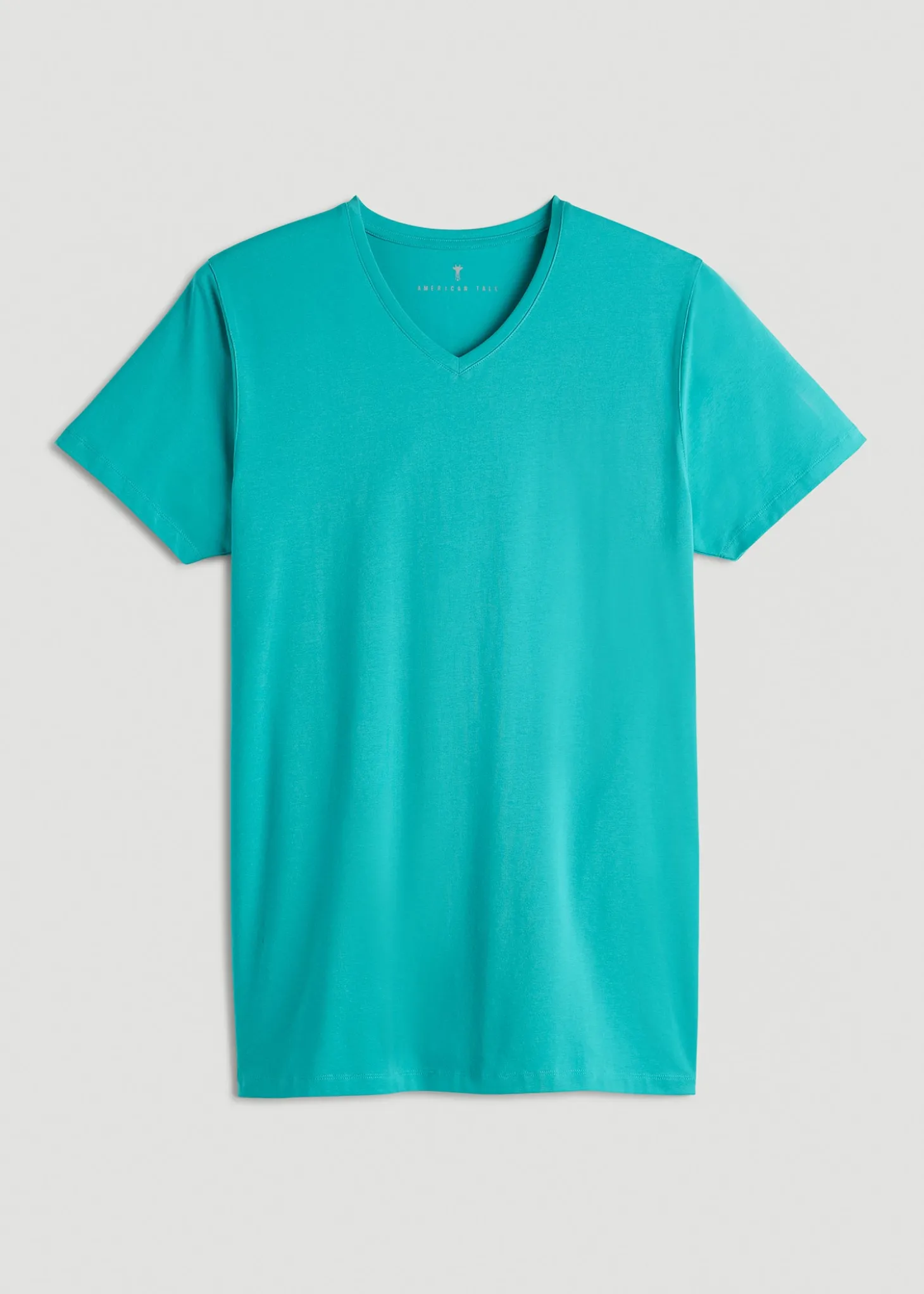 The Essential Modern Fit V-Neck Tee for Tall Men